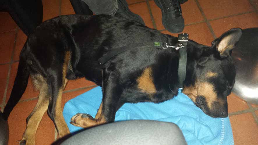 Azat - Endlich Ruhe.jpg (886 x 499)